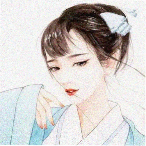 观众山岚的头像
